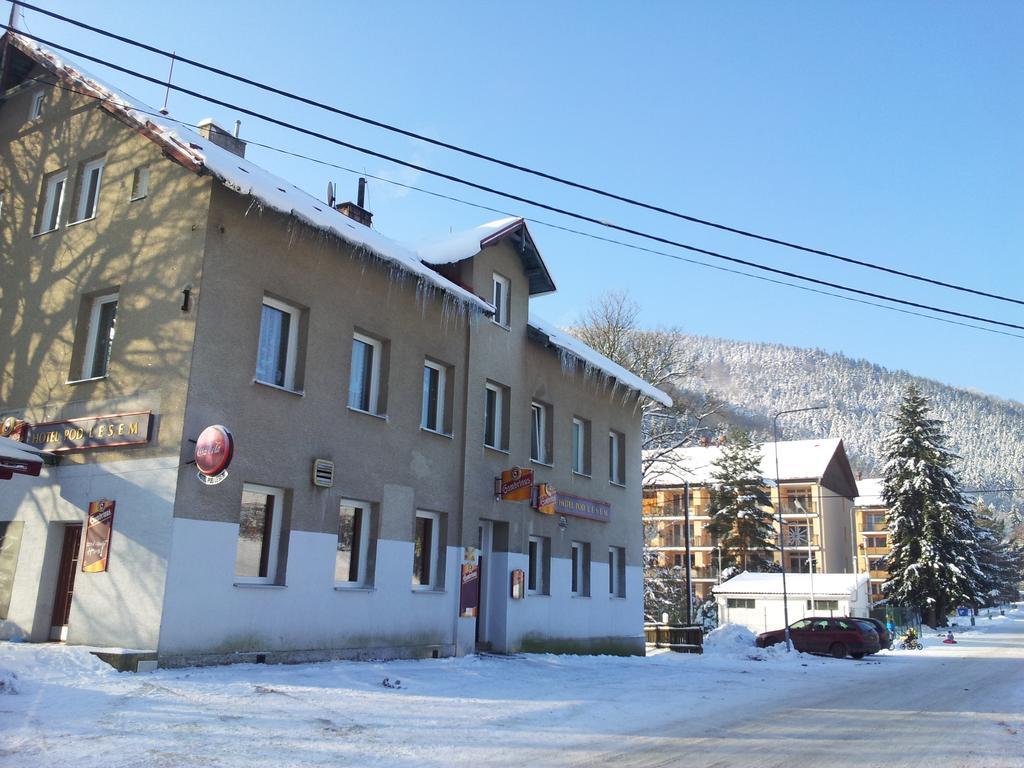 Guest House Pod Lesem Merklín Extérieur photo